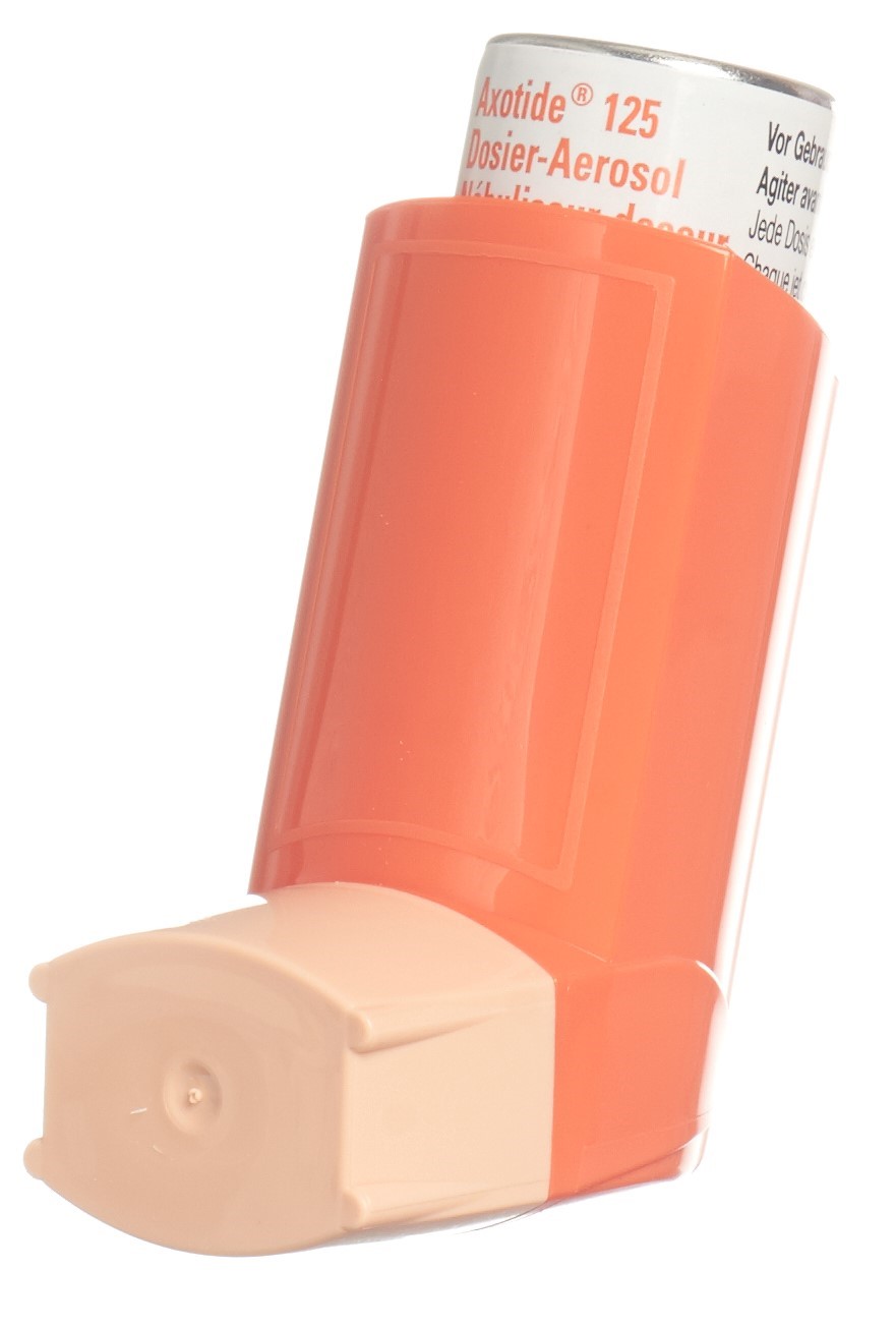 Image 1 - Axotide 125, aéros doseur 125 mcg sans-CFC 